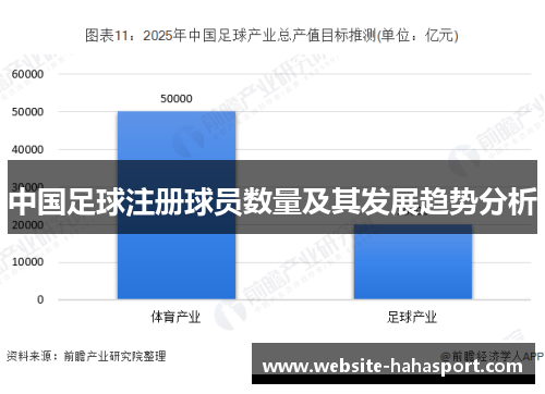 中国足球注册球员数量及其发展趋势分析